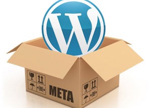wp-meta-boxes