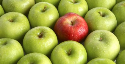 blog-stand-out
